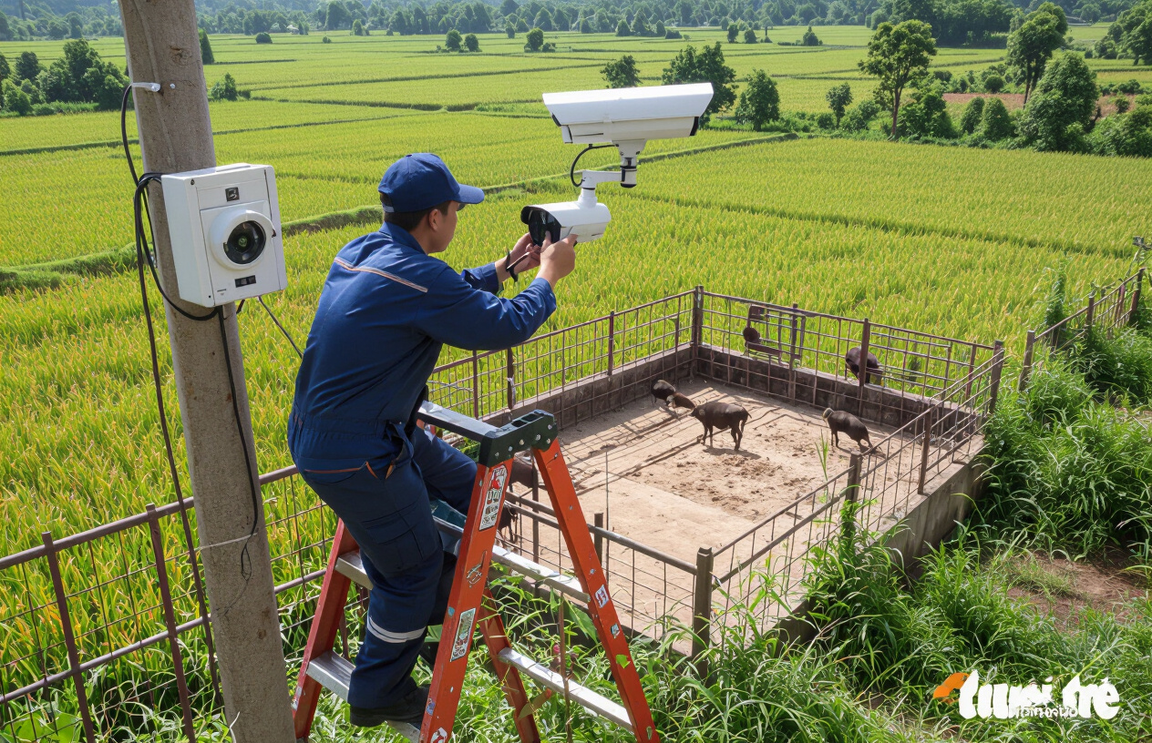 Kỹ Thuật Viên Máy Tính Bến Tre Đang Lắp Đặt Camera Chuyên Nghiệp Tại Trang Trại.
